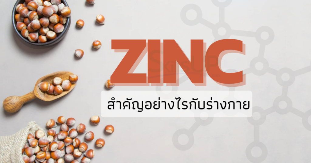 Zinc (ซิงค์) สำคัญอย่างไรกับร่างกาย