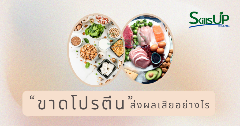 “ขาดโปรตีน” ส่งผลเสียอย่างไร