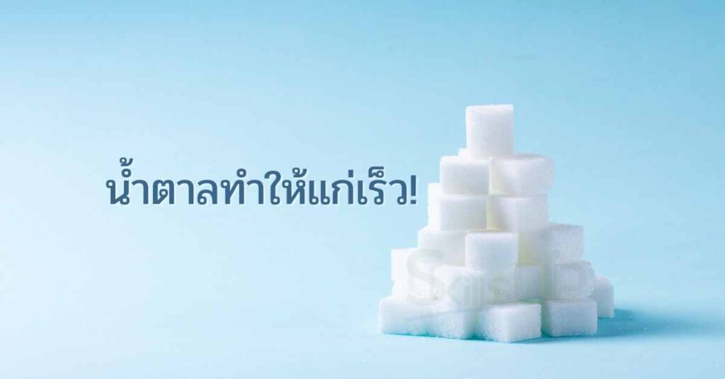 กินน้ำตาลเยอะทำให้แก่เร็ว! จริงเหรอ?