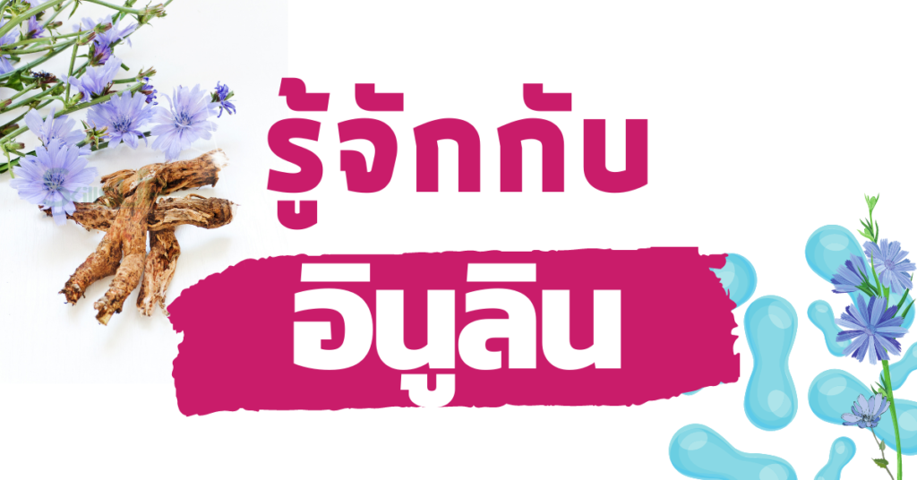 รู้จักกับ “อินูลิน” สารอาหารแคลอรี่ต่ำ